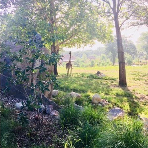 About Me - Picture 6 of 7